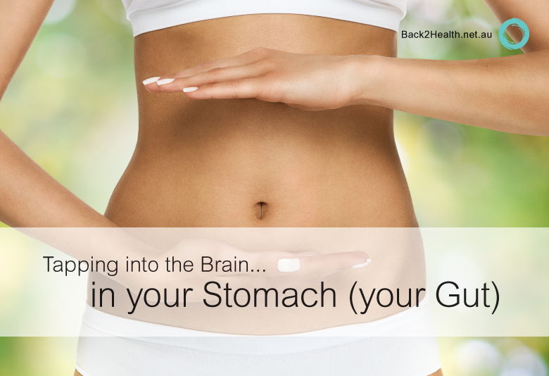 There’s a ‘Second Brain’ in Your Gut – and It’s Smarter Than You Think