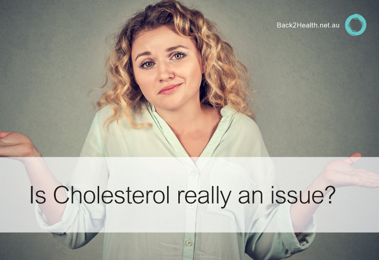 Is cholesterol really an issue?